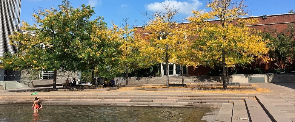 Undergraduate application process